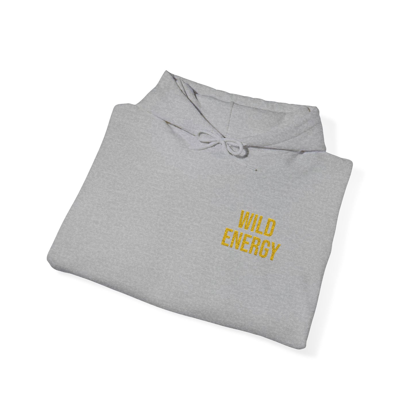 Wild Energy Embroidered Hoodie