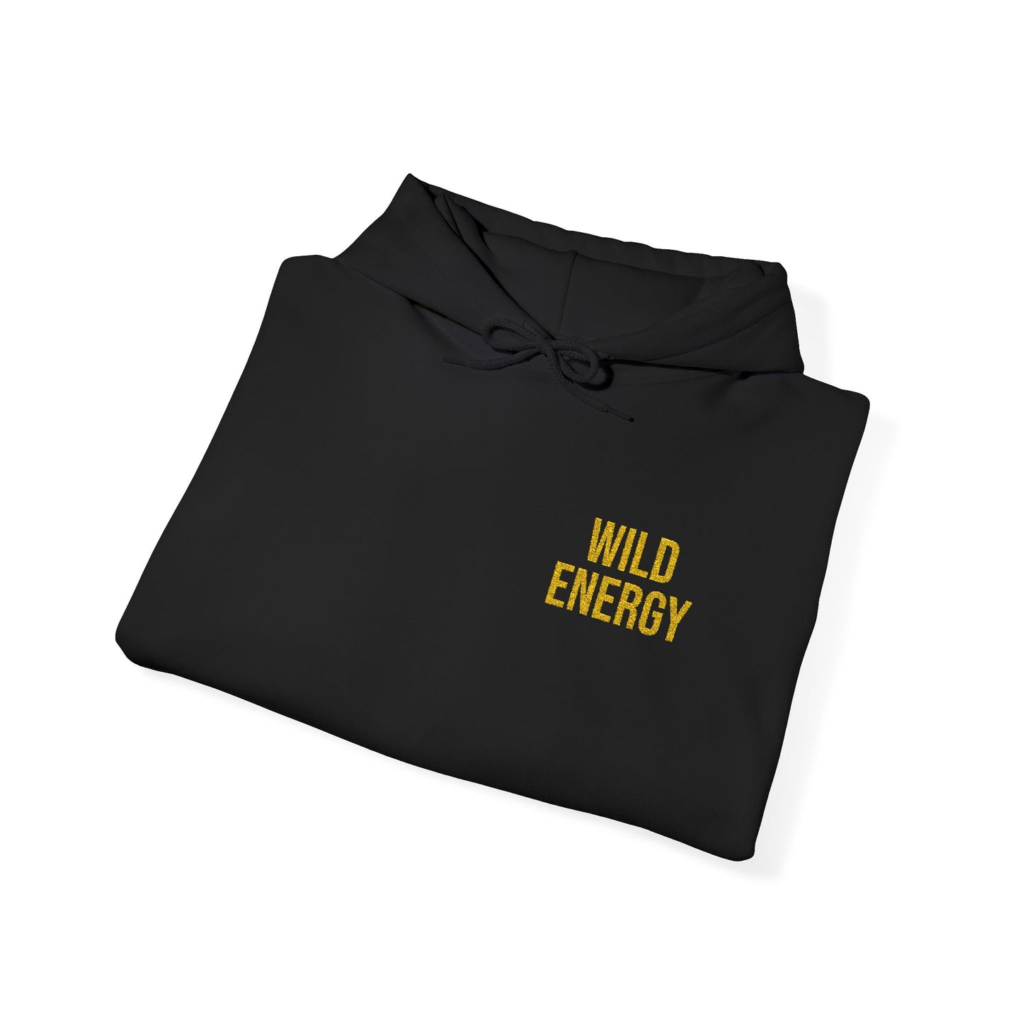 Wild Energy Embroidered Hoodie